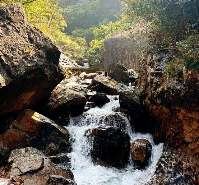 打卡－成都九峰山。