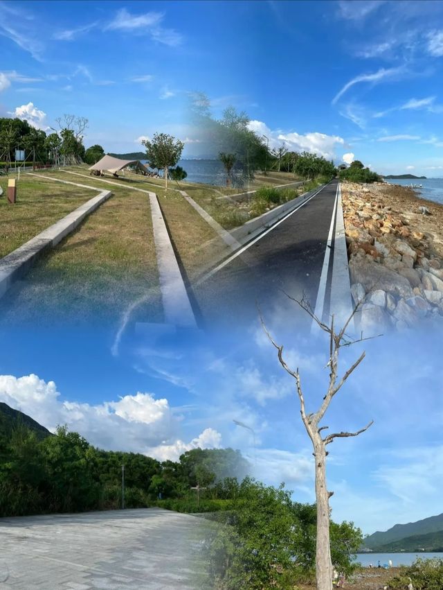 深圳白沙灣公園|邂逅自然之美,重拾生活。 深圳白沙灣公園|邂逅自然之美,重拾生活。