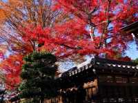 Discover the Charm of Saitama's Little Nordic