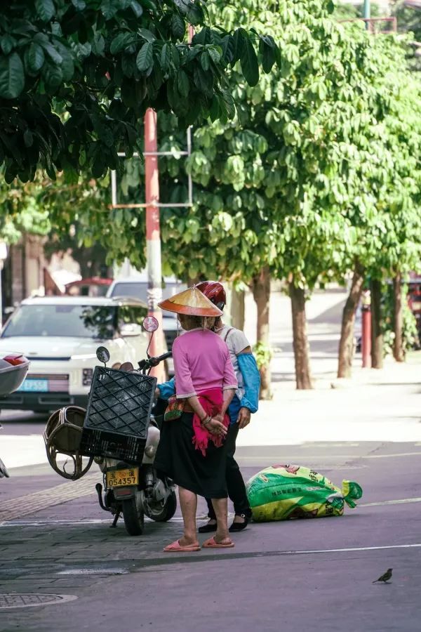 昆明周邊｜戛灑哀牢山兩天一夜吃住行攻略
