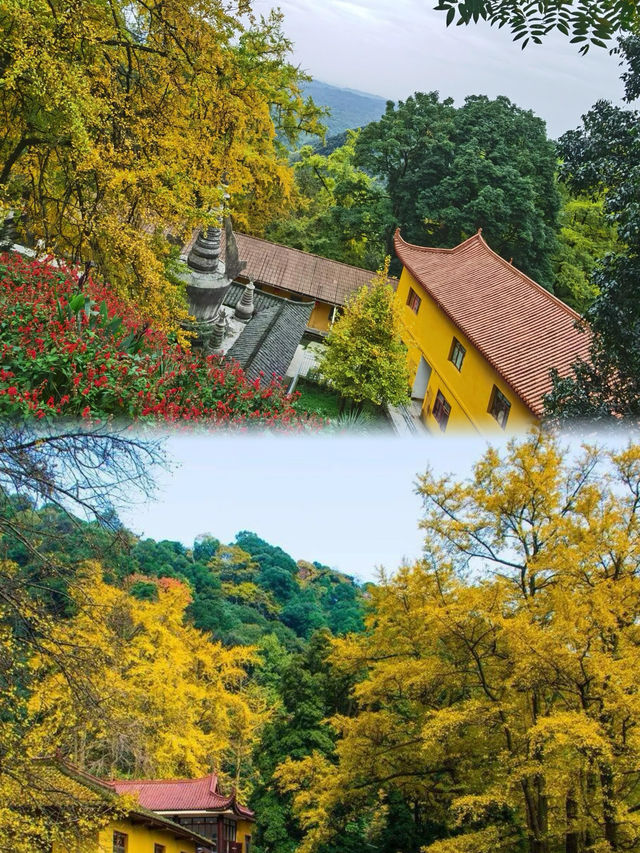 去了一趟白仁岩禪寺，兩天花費多少錢