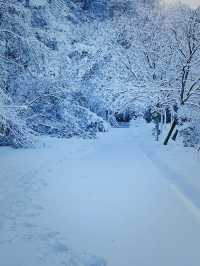秦嶺雪國專列：邂逅冬日奇境的夢幻車票
