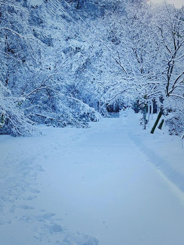 秦嶺雪國專列：邂逅冬日奇境的夢幻車票