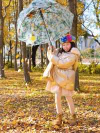 上海人少小眾拍銀杏好去處附路線地圖