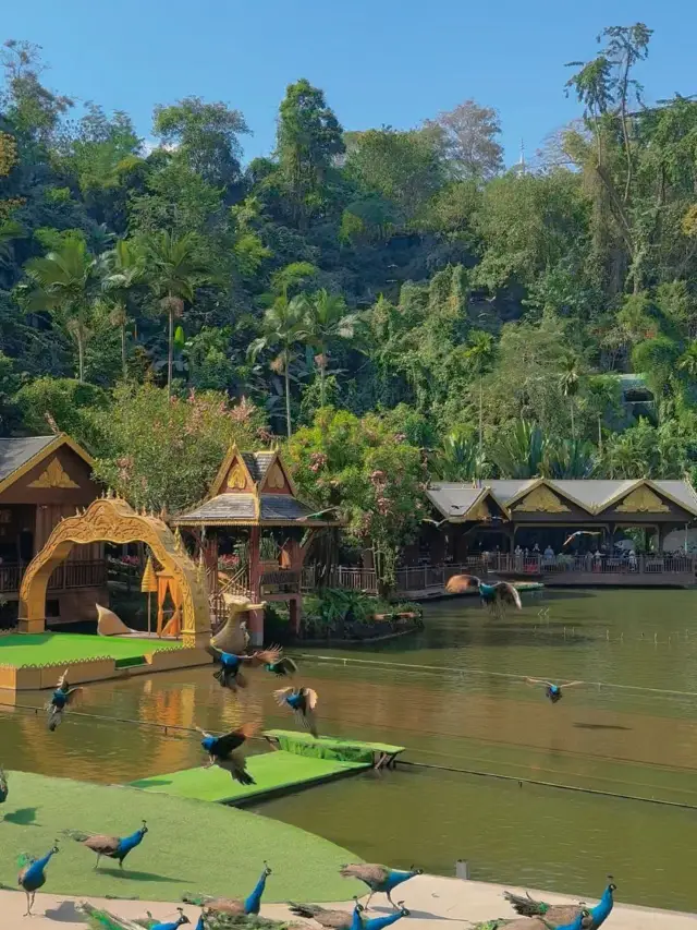 ทริป 4 วันที่สิบสองปันนาในฤดูหนาวคุ้มค่าสุดๆ