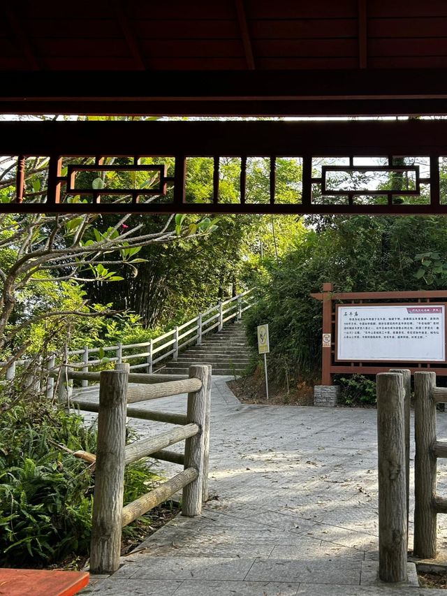 探索天然氧吧，週末好去處！