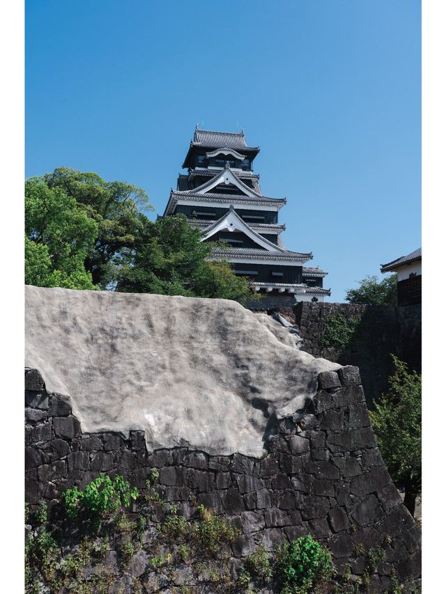 日本6日遊 老友出行必打卡攻略