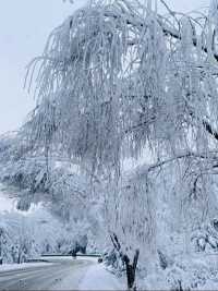 坐上秦嶺小火車，向冰雪國度進發咯