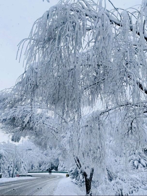 坐上秦嶺小火車，向冰雪國度進發咯