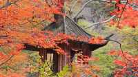 關門山，東北「小黃山」