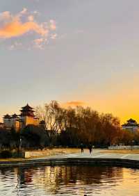 蓮花池公園