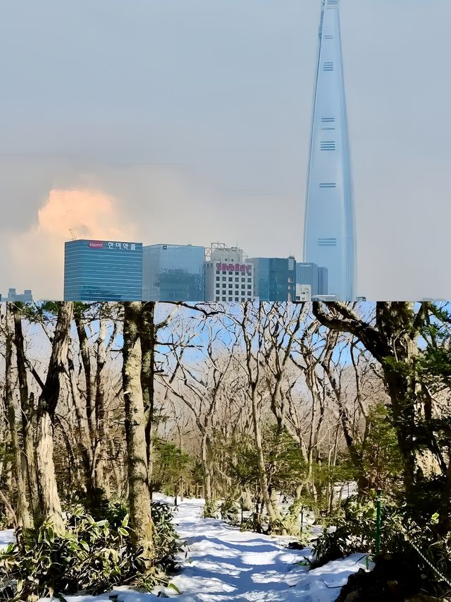 姊妹們來平昌郡喜歡看雪的必備攻略