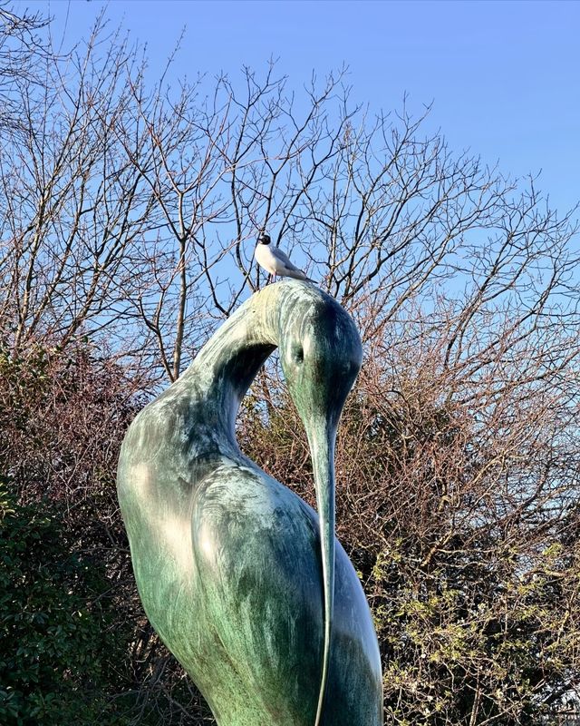 邂逅倫敦海德公園，城市中的自然寶藏