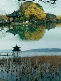 西湖一日遊！最強攻略來啦