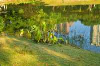 公園20分鐘效應