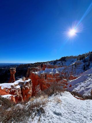 춘절 연휴에 20일 동안 미국 여행하기, 이 글만 보면 충분