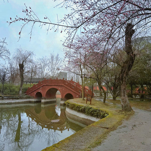 "呢個成都小景點，梅花開咗竟然令我有啲唔想離開！"