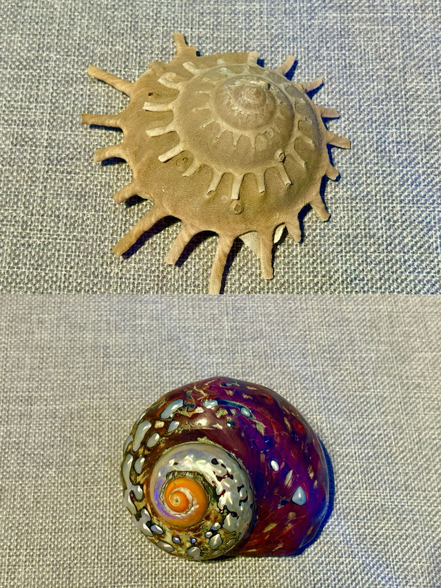 南海博物館『』來海南探索海洋秘境的必打卡之地