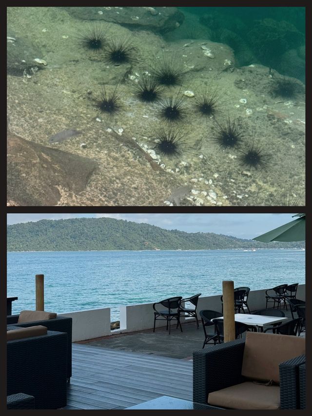 夢幻之旅，解鎖亞比麥哲倫絲綢度假村嘅極致魅力