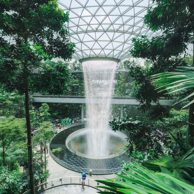 人在新加坡，已被綠植包圍🌳 三天citywalk路線