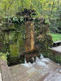 寒假遊玩張家界-大峽谷-天門山 超全攻略請收好