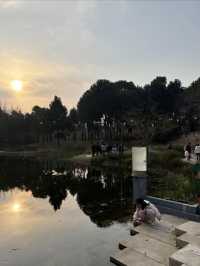 成都地鐵直達的絕美城市公園——紅石公園