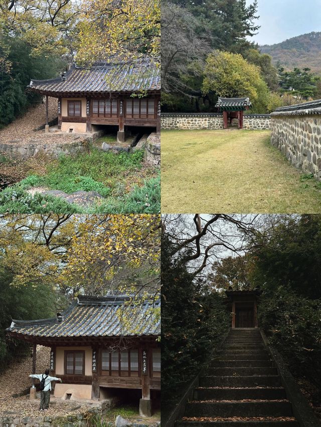 解鎖大田：韓半島的小眾寶藏旅行地