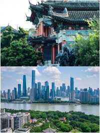 深圳玩了4天，我的消费观崩塌了跟着音乐去旅行