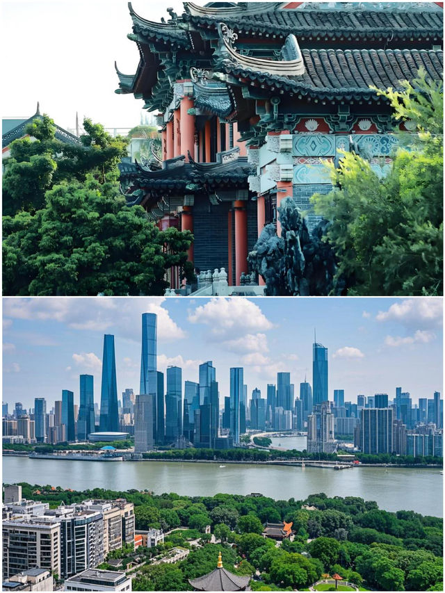 深圳玩了4天，我的消费观崩塌了跟着音乐去旅行