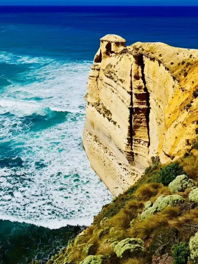 2-Day Australian Tour - Only 2k per Person!
