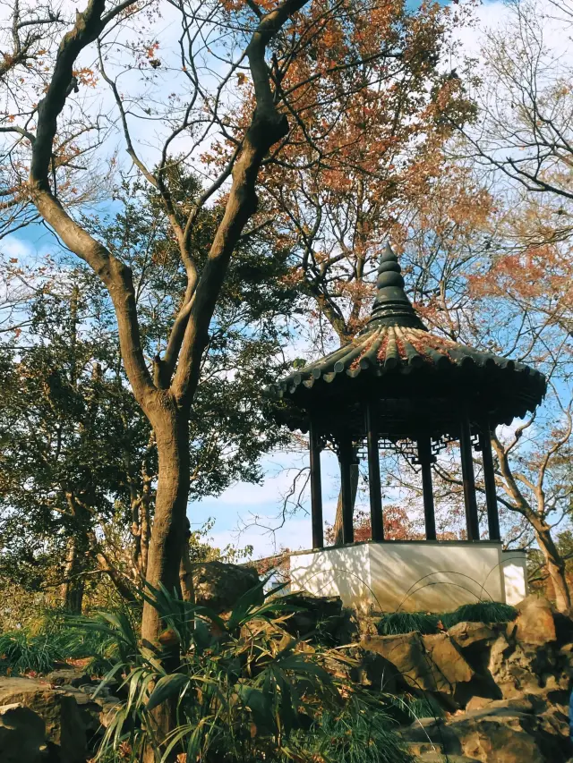 上海-蘇州-烏鎮遊：踏遍古鎮尋覓古风之美