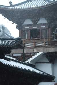 25年第一場春雪，下到了徑山寺
