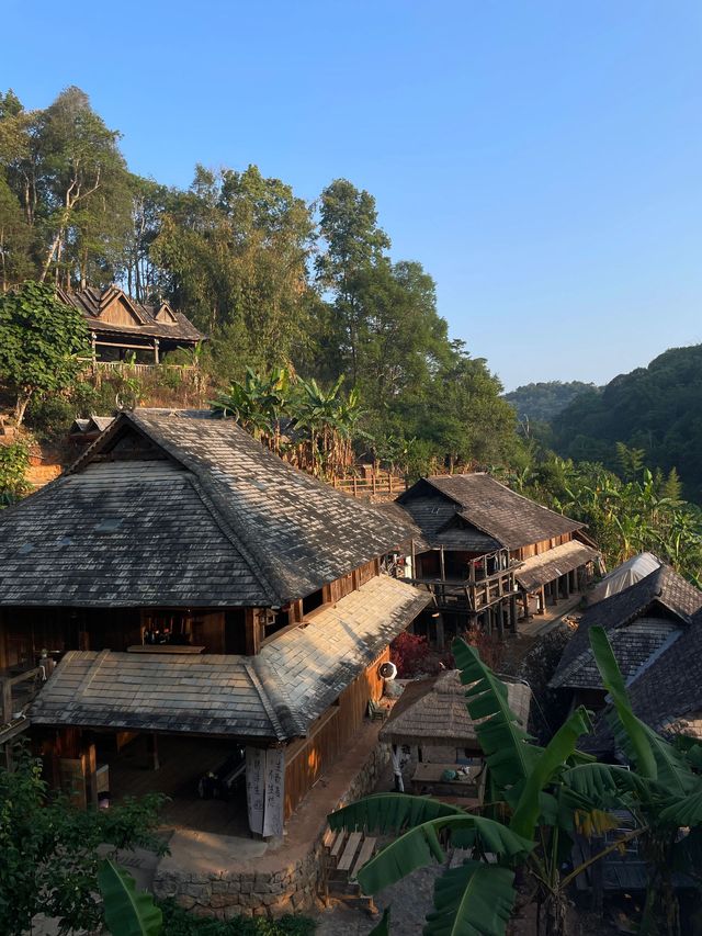 普洱森林探秘之旅 長者之選