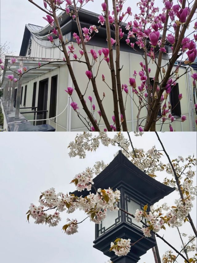 春日限定｜邂逅寶華山的詩意民宿