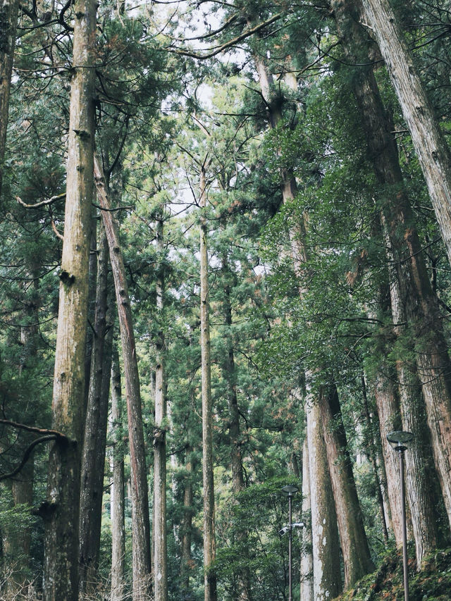 和歌山