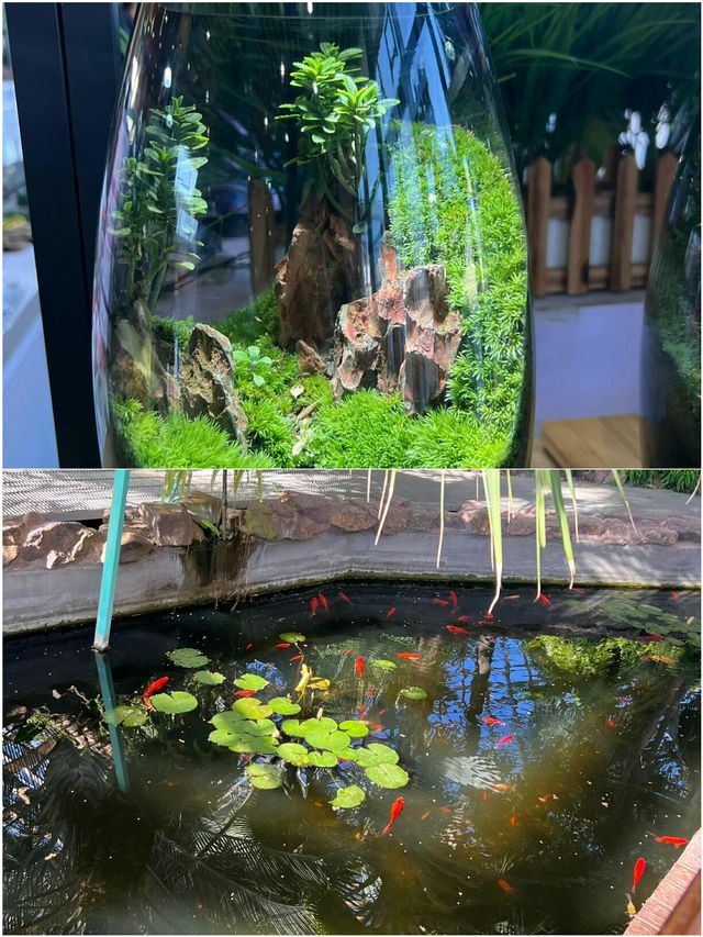 太原植物園 | 被一部星空電梯拯救了