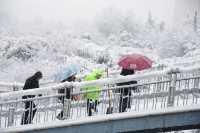 春雪銀裝素裹，宛如畫卷。
