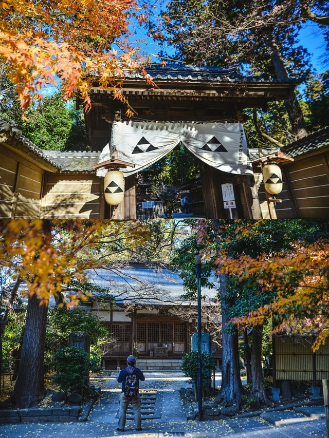 鎌倉徒步｜小眾之美，穿越北鎌倉的古寺與自然的靜謐