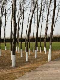 鍾意西安每個有陽光嘅日子