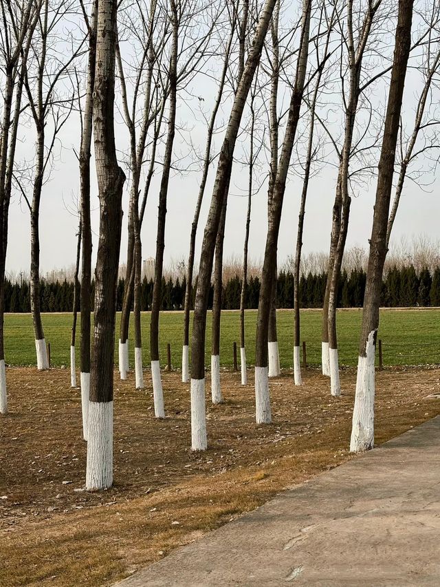 鍾意西安每個有陽光嘅日子 鍾意西安每個有陽光嘅日子