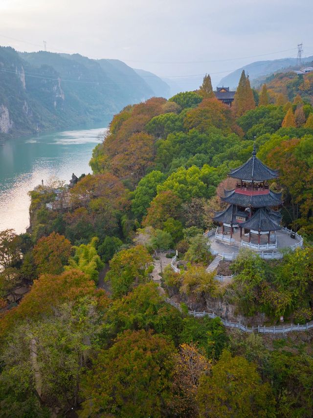 清明踏春好去處 長江三峽－三峽大壩的森林秘境等你探索