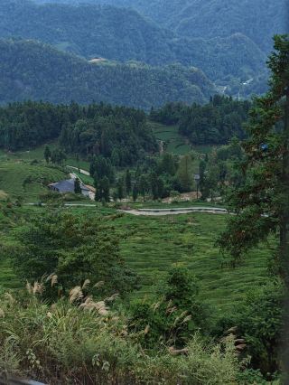 Huping Mountain, Changde, Hunan｜The Roof of Hunan