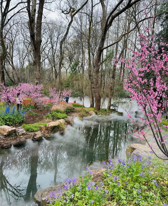 中山植物園