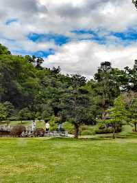 深圳仙湖植物園踏青
