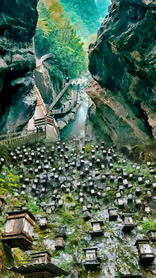 神農架旅行打卡攻略：如何玩轉這片原始秘境？