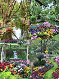 魔都「莫奈花園」—共青森林公園這片秘境，美到犯規！