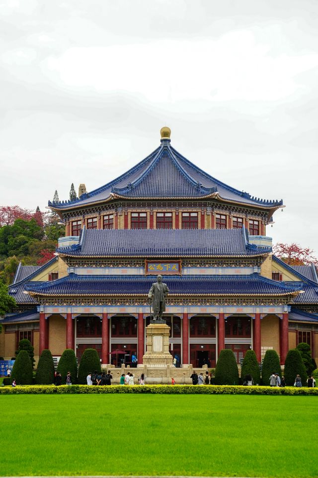 一樹看盡廣州春｜邂逅「中國最美木棉」