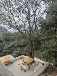 【重慶歸心處｜禪意療癒民宿】