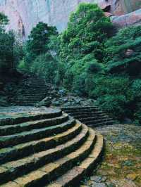 我在江西上春山終於找到最美的春天