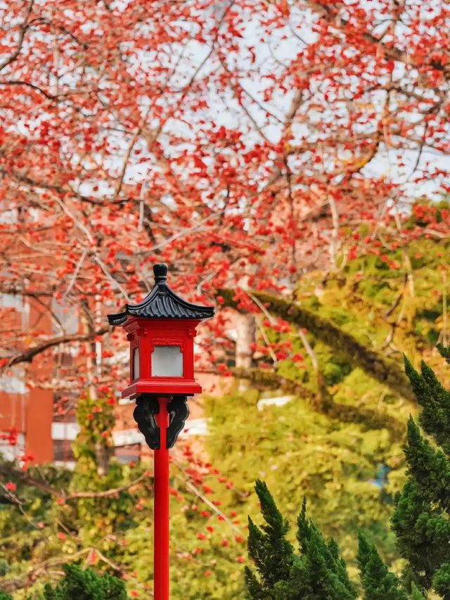 中山旅遊必備攻略（超齊全）